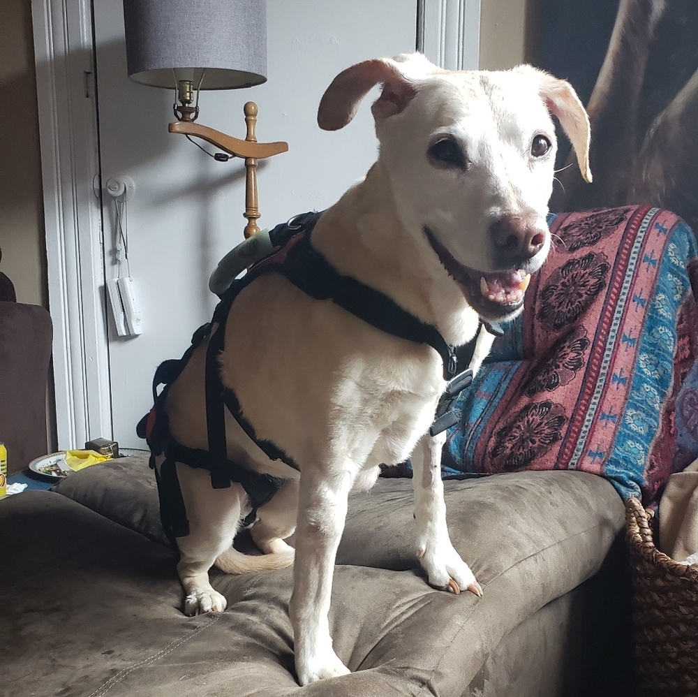 Meet your Posher, Angelina